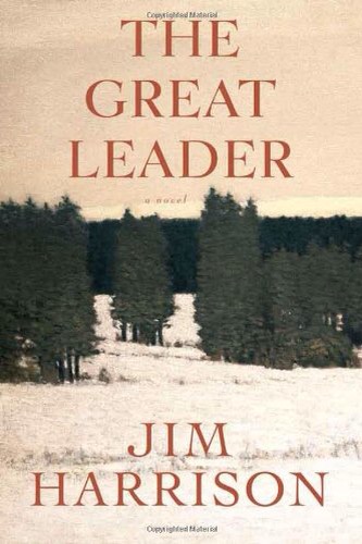 The Great Leader Book Cover